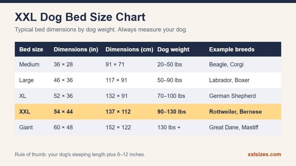 XXL dog bed size chart with bed dimensions, dog weight and example breeds