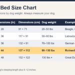 XXL dog bed size chart with bed dimensions, dog weight and example breeds