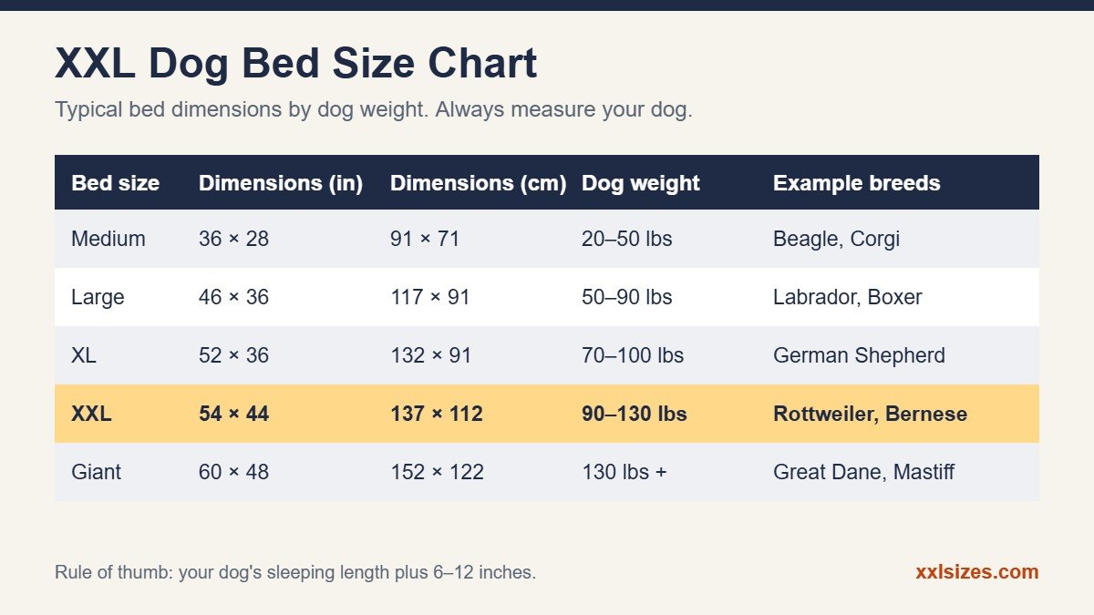 XXL dog bed size chart with bed dimensions, dog weight and example breeds