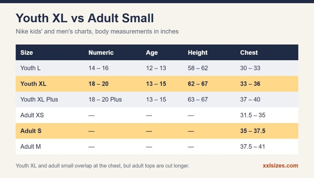 Youth XL vs adult small chart with numeric size, age, height and chest measurements