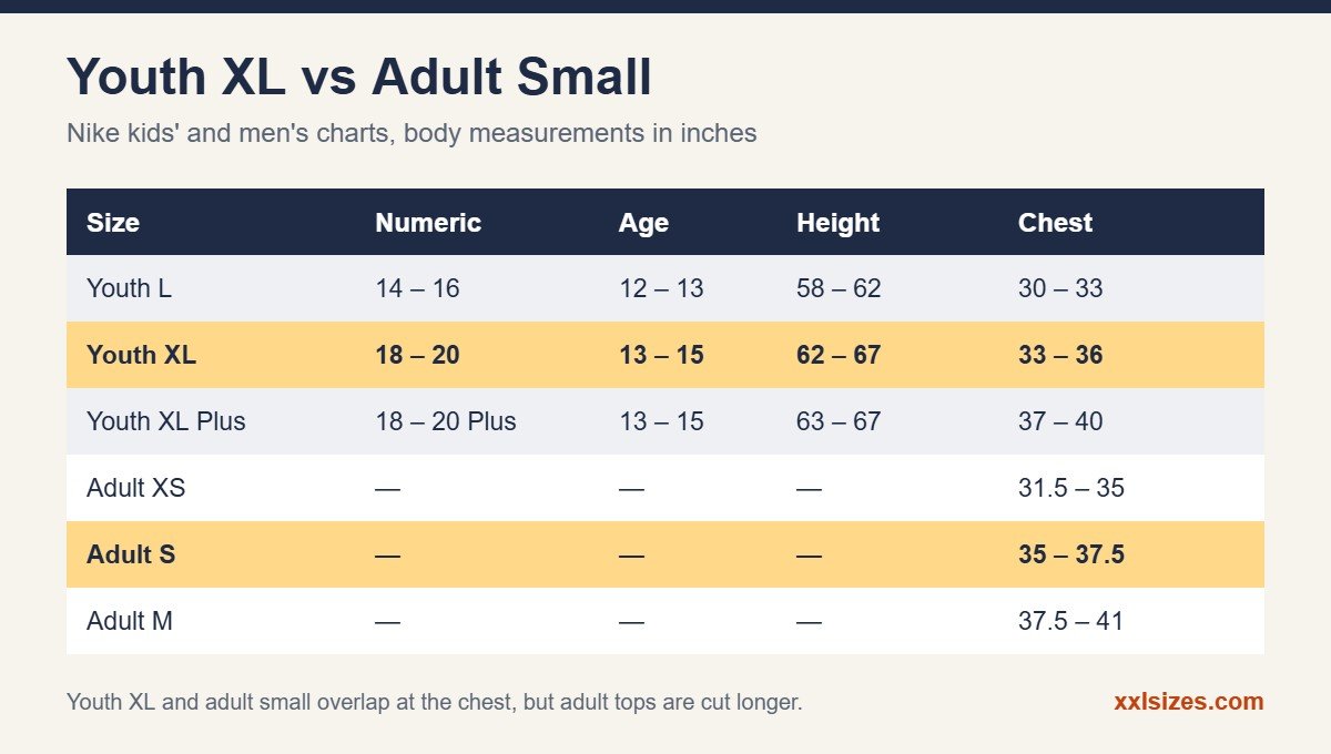 Youth XL vs adult small chart with numeric size, age, height and chest measurements